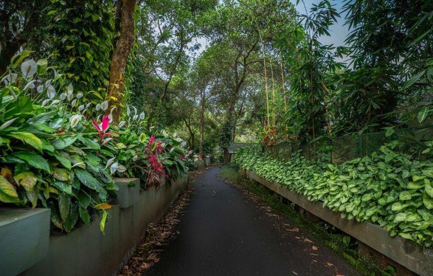 Banasura Hill Resort