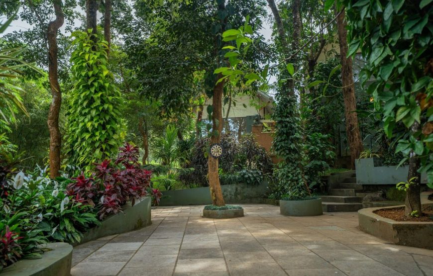 Banasura Hill Resort