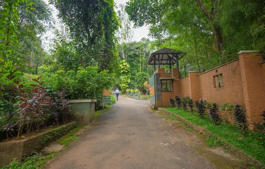 Banasura Hill Resort