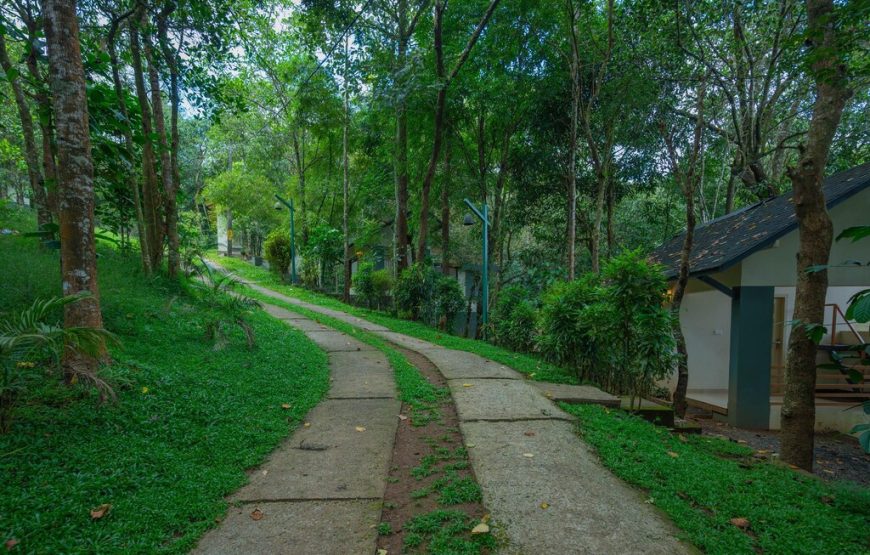 Banasura Hill Resort